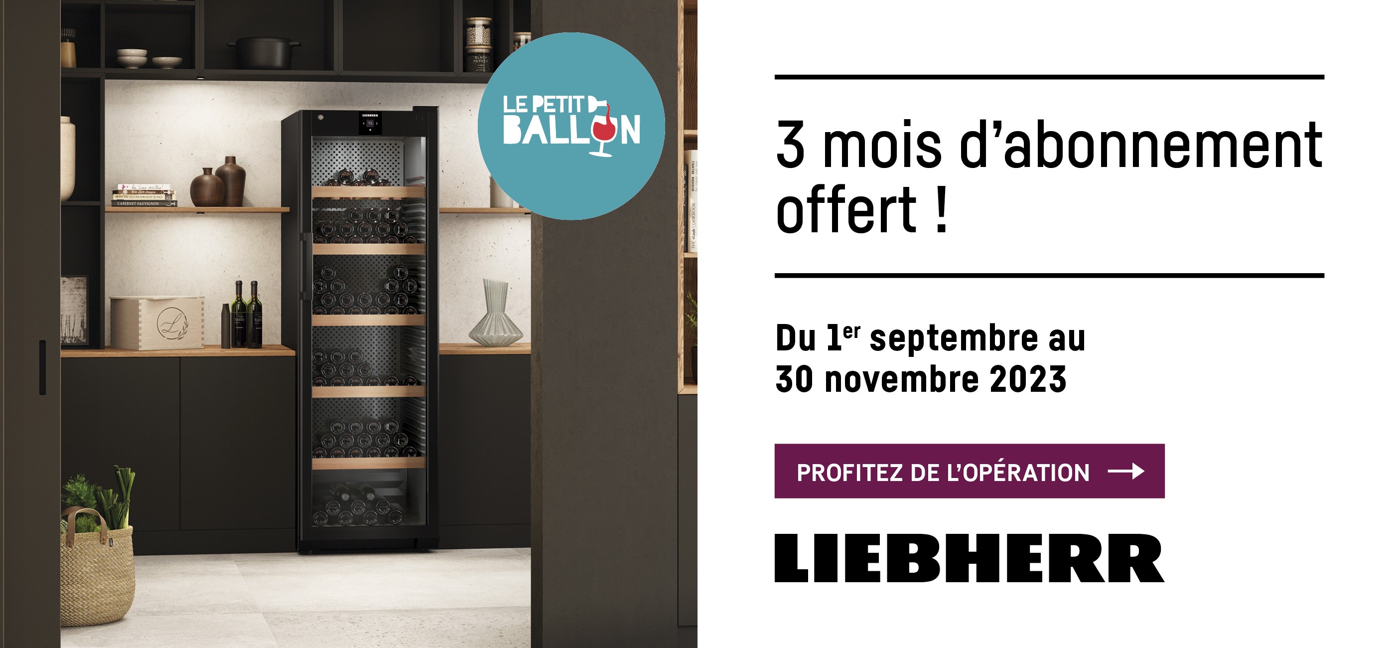 LIEBHERR - 3 MOIS D'ABONNEMENT OFFERT