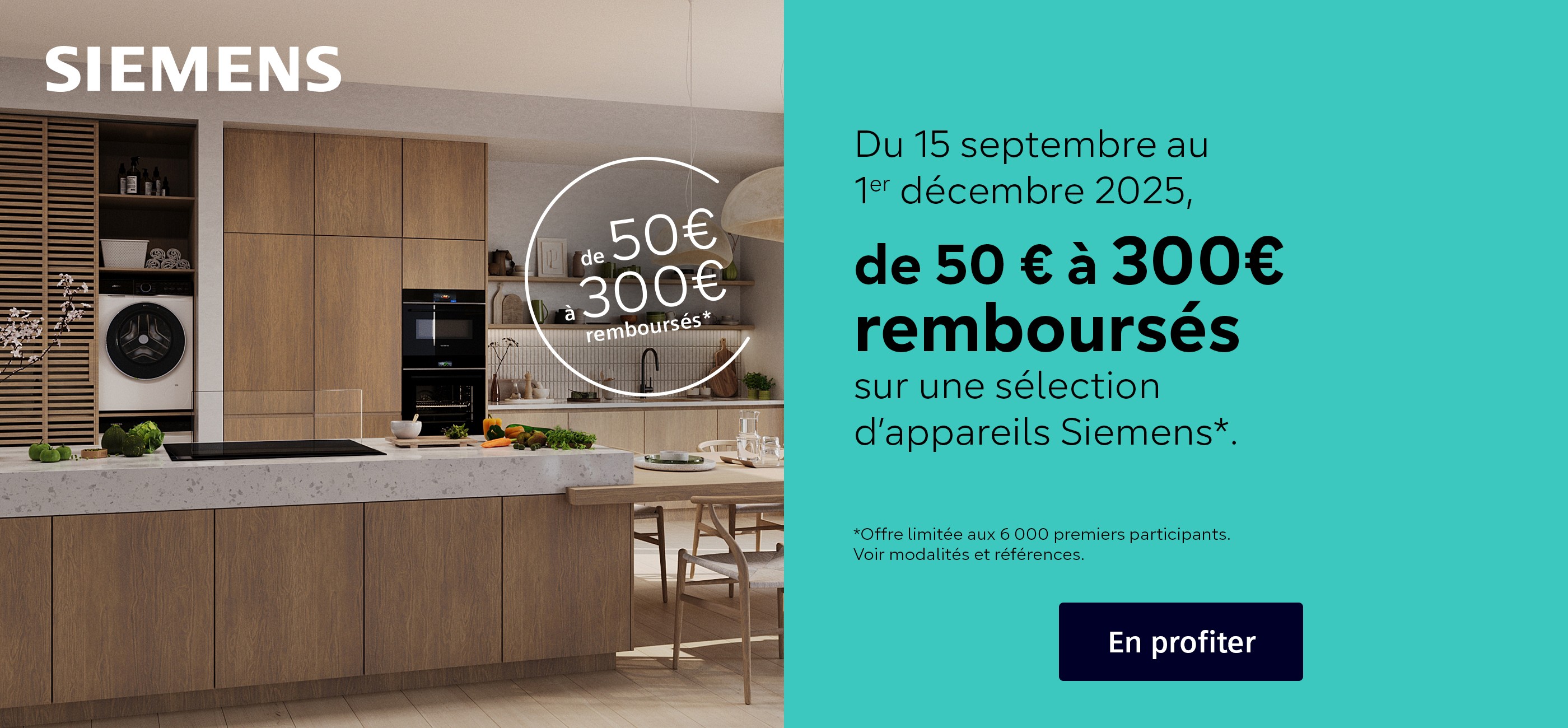 SIEMENS - MULTIFAMILLES - 50€ à 300€